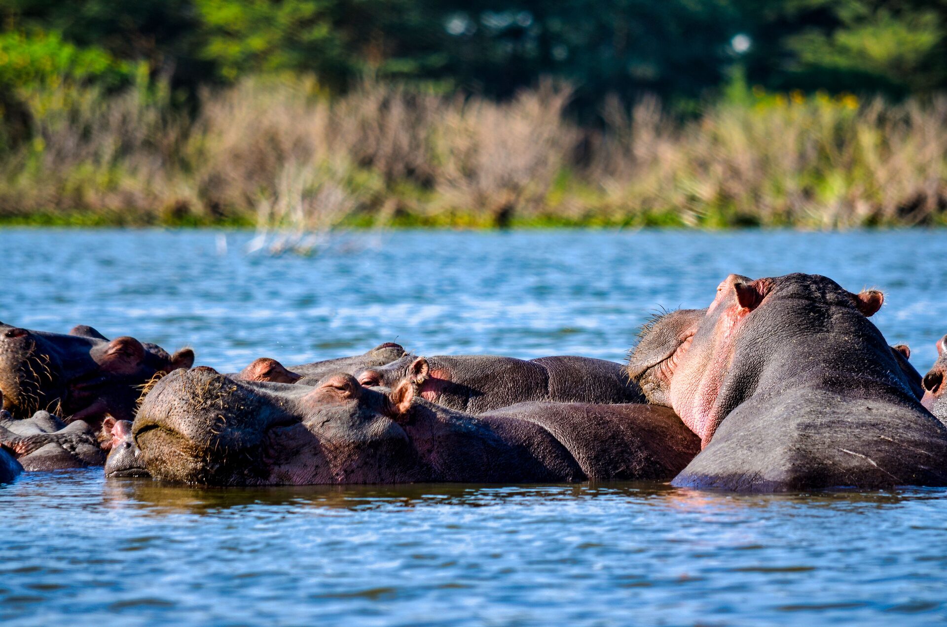 Kazinga Channel Boat Safari